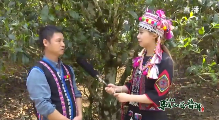 中国最大富硒古树茶(中国最大富硒古树茶村落)-硒宝网