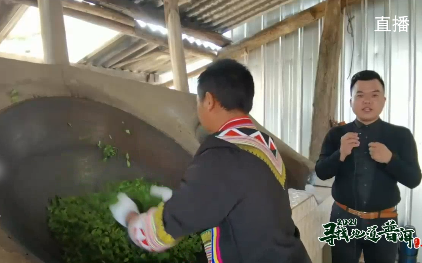 中国最大富硒古树茶(中国最大富硒古树茶村落)-硒宝网