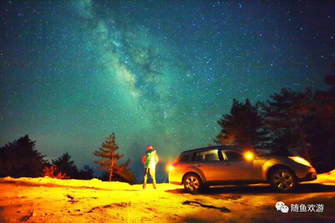 明前高山有机富硒茶（高山硒茶价格）-硒宝网