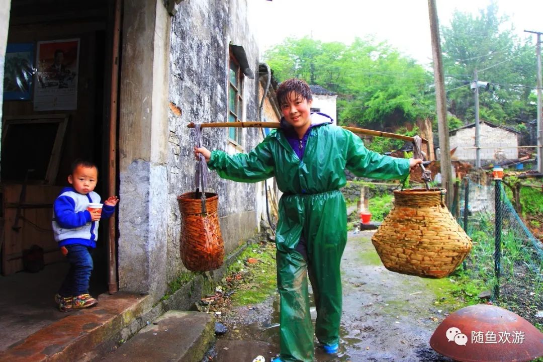 明前高山有机富硒茶（高山硒茶价格）-硒宝网