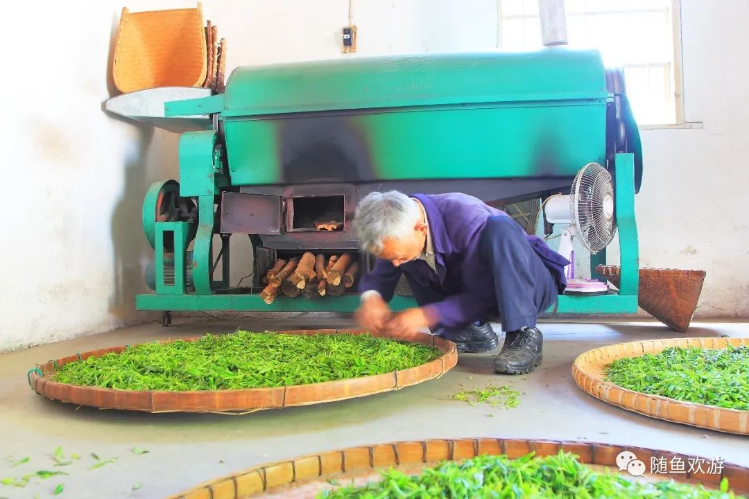 明前高山有机富硒茶（高山硒茶价格）-硒宝网