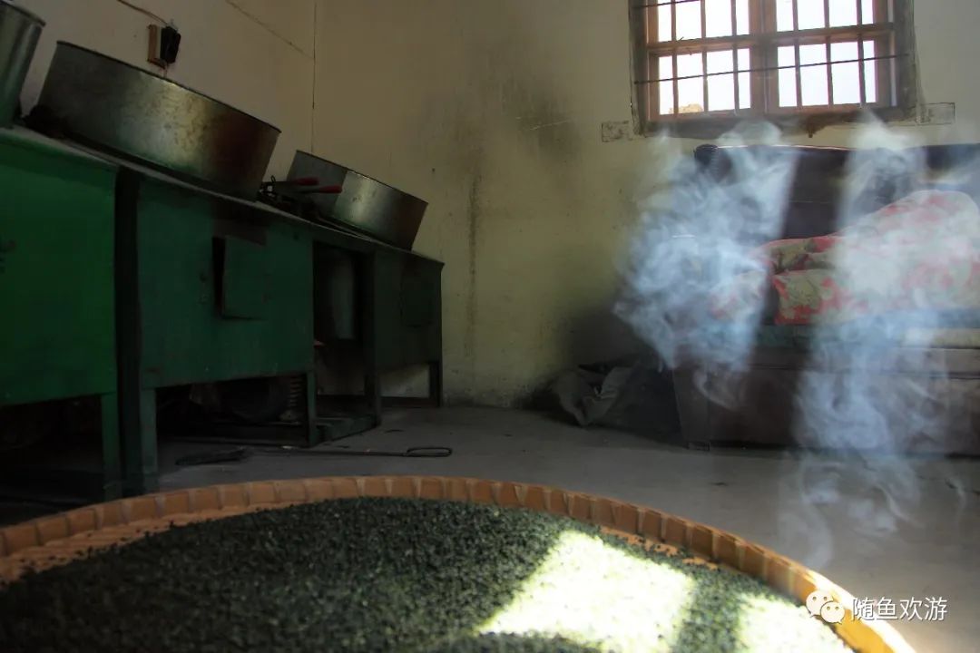 明前高山有机富硒茶（高山硒茶价格）-硒宝网