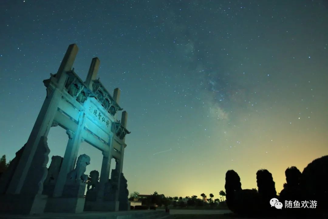 明前高山有机富硒茶（高山硒茶价格）-硒宝网