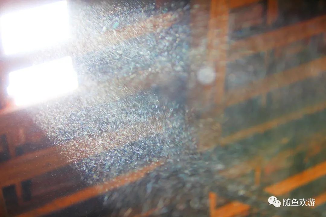 明前高山有机富硒茶（高山硒茶价格）-硒宝网