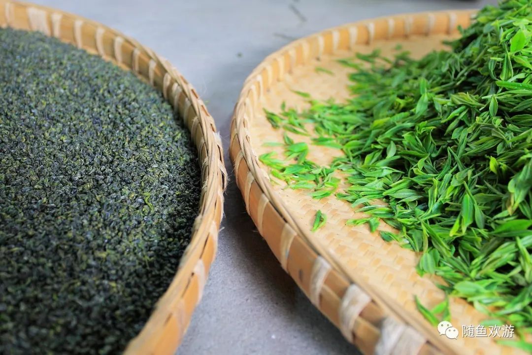 明前高山有机富硒茶（高山硒茶价格）-硒宝网