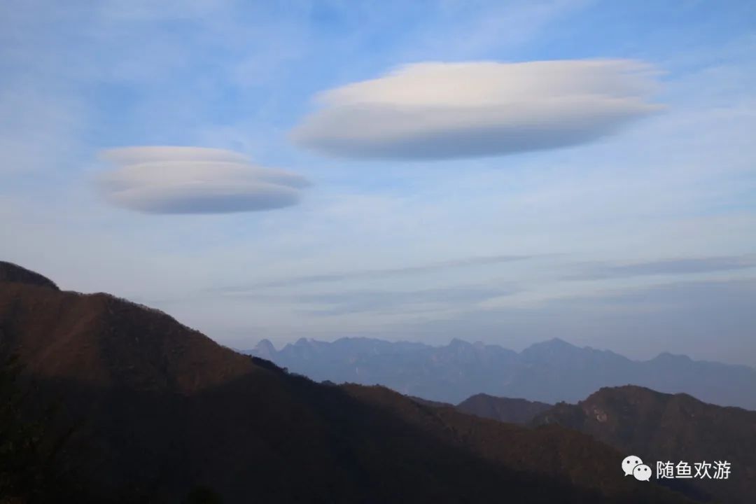 明前高山有机富硒茶（高山硒茶价格）-硒宝网