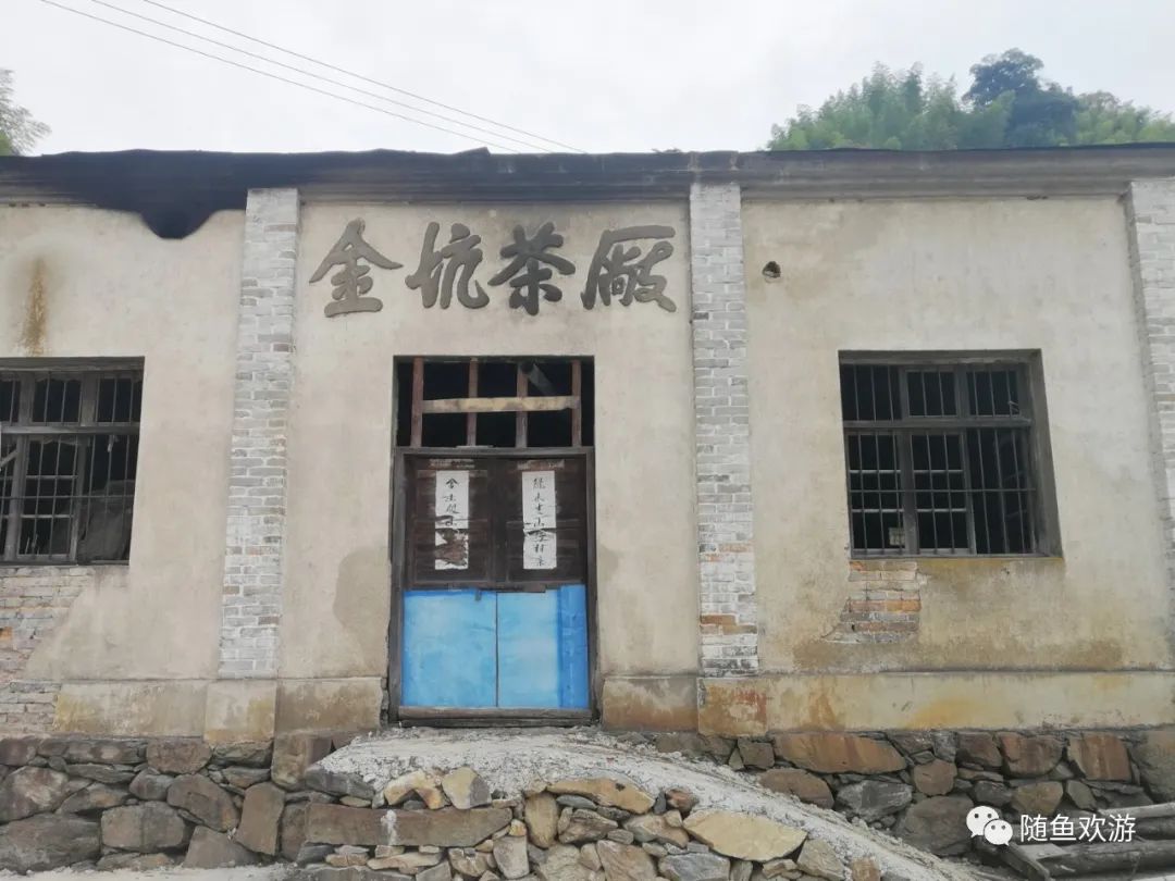 明前高山有机富硒茶（高山硒茶价格）-硒宝网