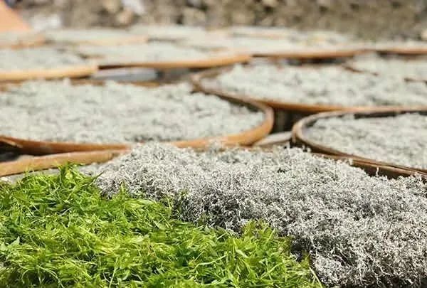 富硒莓茶有什么功效（茶莓功效富硒有什么作用）-硒宝网