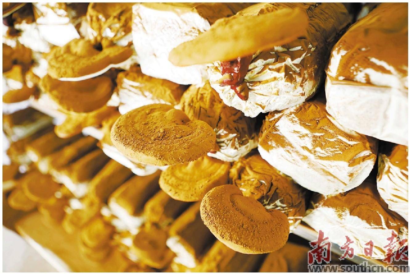 江苏质量好的富硒茶(富硒茶排名)-硒宝网