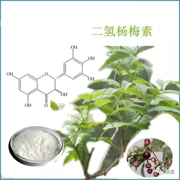 富硒恩施土家藤婆茶（恩施什么地方的藤茶硒含量最高）-硒宝网