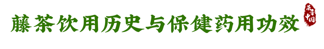 富硒恩施土家藤婆茶(恩施富硒藤茶多少钱一斤)-硒宝网