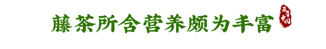 富硒恩施土家藤婆茶(恩施富硒藤茶多少钱一斤)-硒宝网