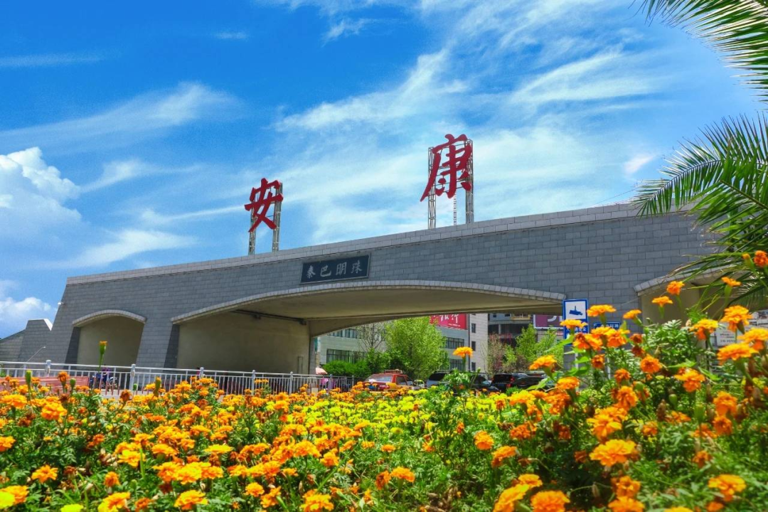 安康富硒茶交易中心（安康富硒茶发展情况）-硒宝网