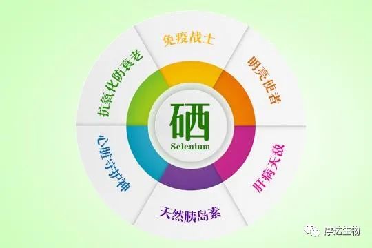 富硒恩施土家藤婆茶（湖北恩施的藤茶有什么好处）-硒宝网