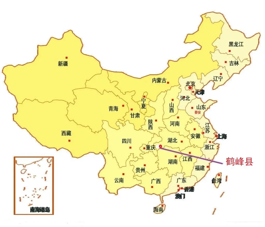富硒野生茶是哪里的（野生茶富硒是什么意思）-硒宝网