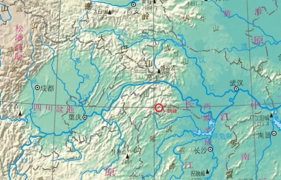 富硒野生茶是哪里的（野生茶富硒是什么意思）-硒宝网