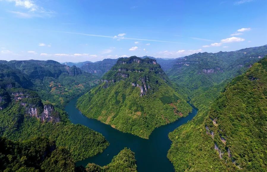 富硒野生茶是哪里的（野生茶富硒是什么意思）-硒宝网