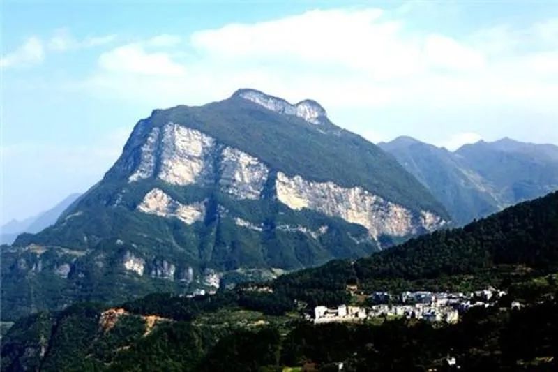 富硒野生茶是哪里的（野生茶富硒是什么意思）-硒宝网