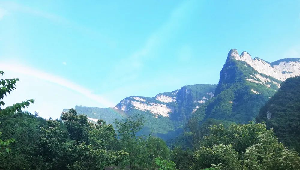 富硒野生茶是哪里的（野生茶富硒是什么意思）-硒宝网