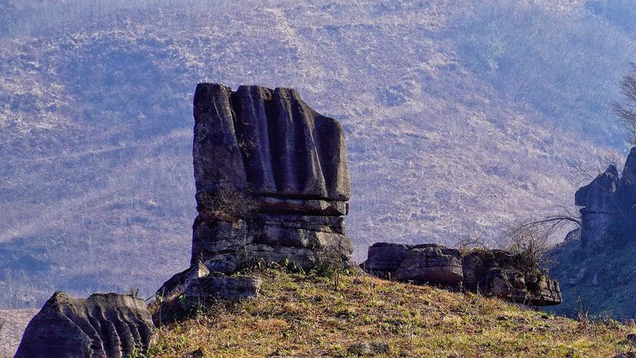 富硒野生茶是哪里的（野生茶富硒是什么意思）-硒宝网