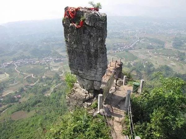 富硒野生茶是哪里的（野生茶富硒是什么意思）-硒宝网
