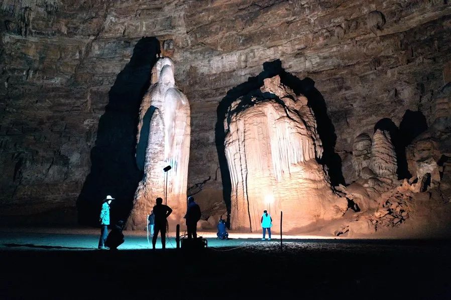 富硒野生茶是哪里的（野生茶富硒是什么意思）-硒宝网