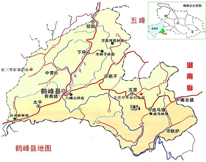 富硒野生茶是哪里的（野生茶富硒是什么意思）-硒宝网