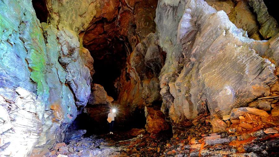 富硒野生茶是哪里的（野生茶富硒是什么意思）-硒宝网