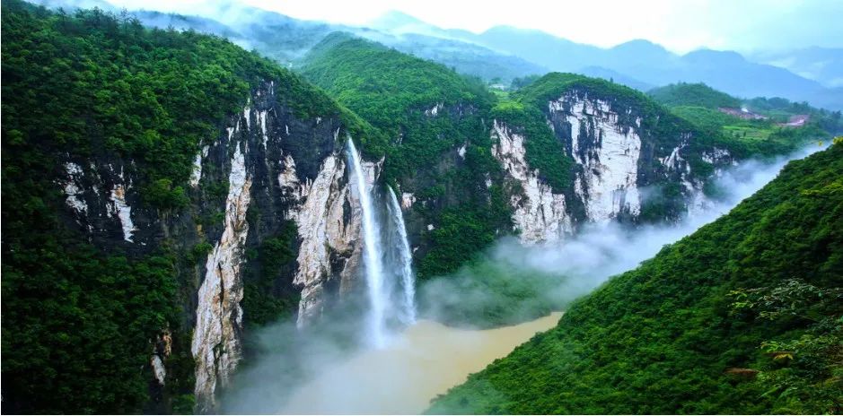 富硒野生茶是哪里的（野生茶富硒是什么意思）-硒宝网