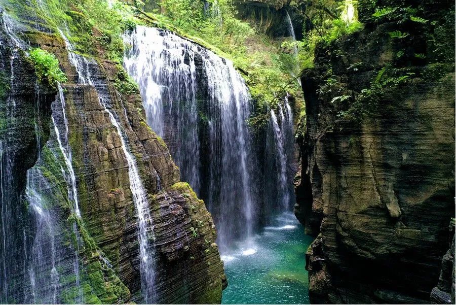富硒野生茶是哪里的（野生茶富硒是什么意思）-硒宝网