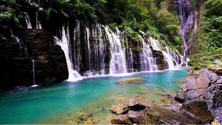 富硒野生茶是哪里的（野生茶富硒是什么意思）-硒宝网