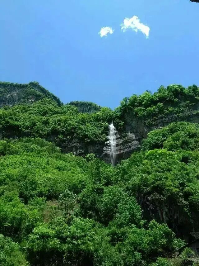 富硒野生茶是哪里的（野生茶富硒是什么意思）-硒宝网