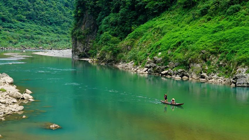 富硒野生茶是哪里的（野生茶富硒是什么意思）-硒宝网