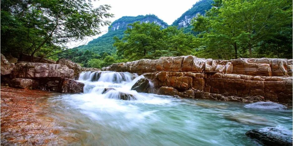 富硒野生茶是哪里的（野生茶富硒是什么意思）-硒宝网