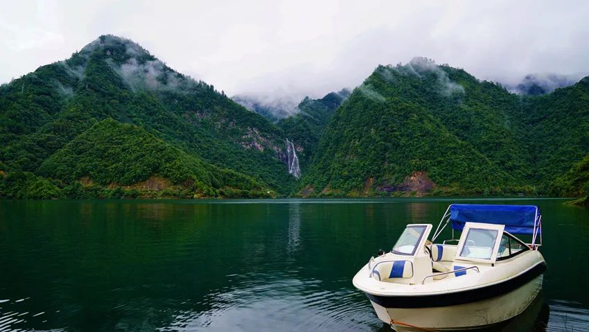 富硒野生茶是哪里的（野生茶富硒是什么意思）-硒宝网