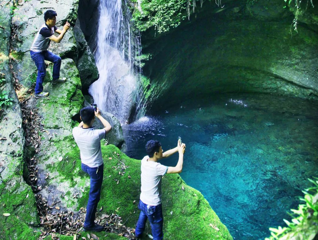 富硒野生茶是哪里的（野生茶富硒是什么意思）-硒宝网