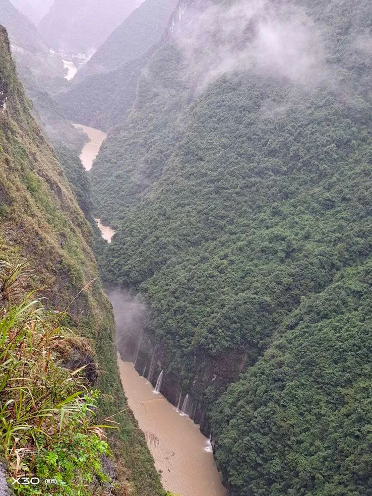 富硒野生茶是哪里的（野生茶富硒是什么意思）-硒宝网
