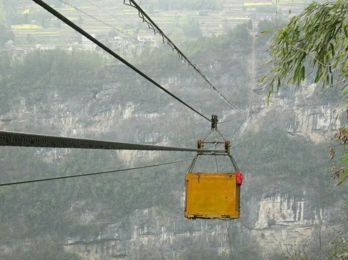 富硒野生茶是哪里的（野生茶富硒是什么意思）-硒宝网