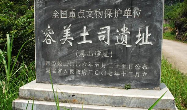 富硒野生茶是哪里的（野生茶富硒是什么意思）-硒宝网