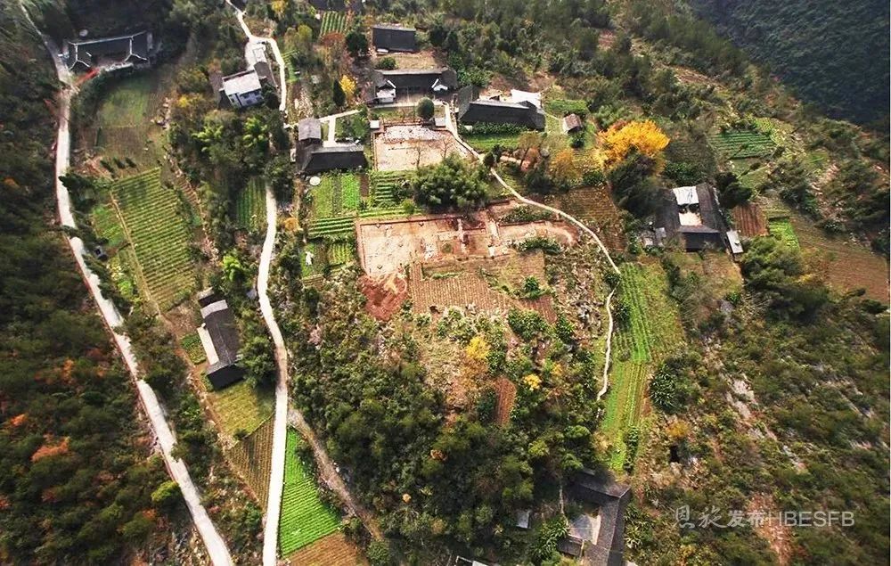 富硒野生茶是哪里的（野生茶富硒是什么意思）-硒宝网