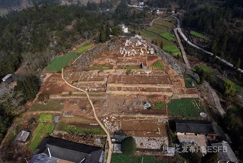 富硒野生茶是哪里的（野生茶富硒是什么意思）-硒宝网