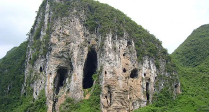 富硒野生茶是哪里的（野生茶富硒是什么意思）-硒宝网