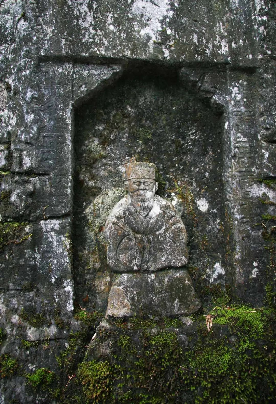 富硒野生茶是哪里的（野生茶富硒是什么意思）-硒宝网