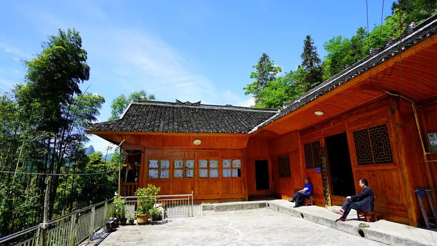 富硒野生茶是哪里的（野生茶富硒是什么意思）-硒宝网