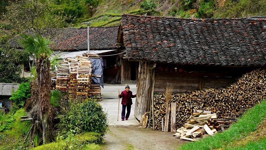 富硒野生茶是哪里的（野生茶富硒是什么意思）-硒宝网