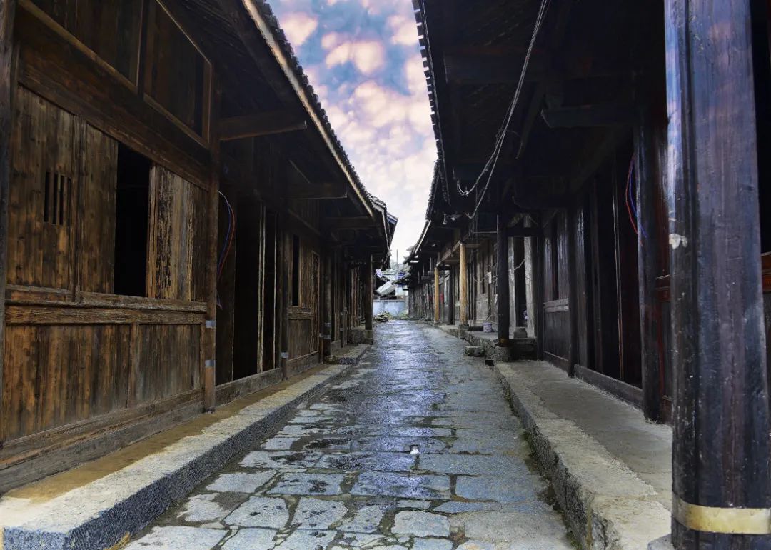 富硒野生茶是哪里的（野生茶富硒是什么意思）-硒宝网