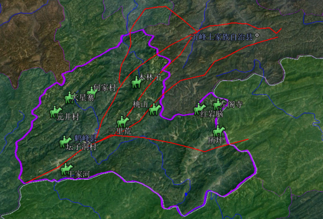富硒野生茶是哪里的（野生茶富硒是什么意思）-硒宝网