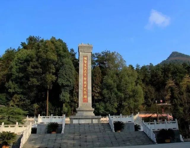 富硒野生茶是哪里的（野生茶富硒是什么意思）-硒宝网