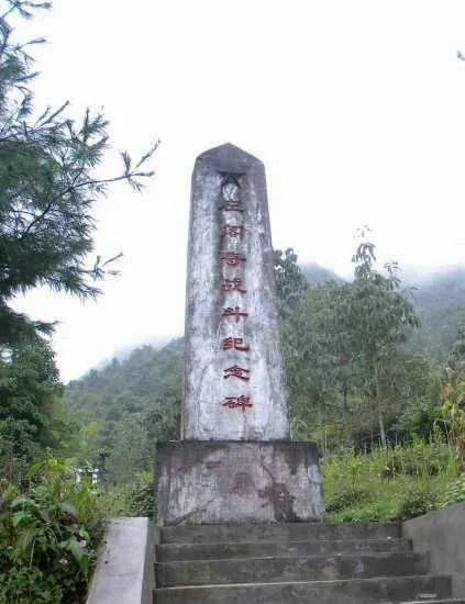 富硒野生茶是哪里的（野生茶富硒是什么意思）-硒宝网