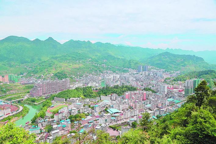 富硒野生茶是哪里的（野生茶富硒是什么意思）-硒宝网